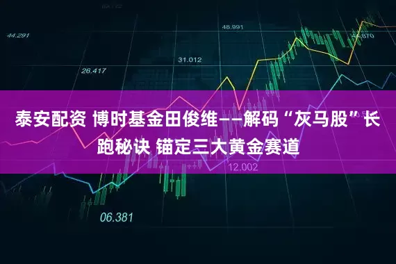 泰安配资 博时基金田俊维——解码“灰马股”长跑秘诀 锚定三大黄金赛道