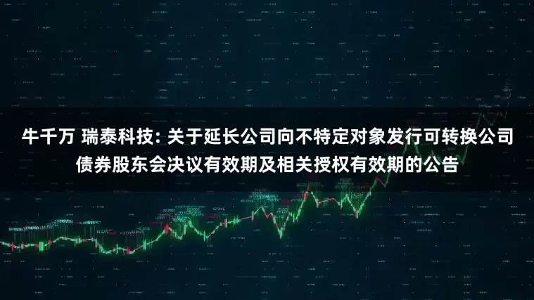牛千万 瑞泰科技: 关于延长公司向不特定对象发行可转换公司债券股东会决议有效期及相关授权有效期的公告