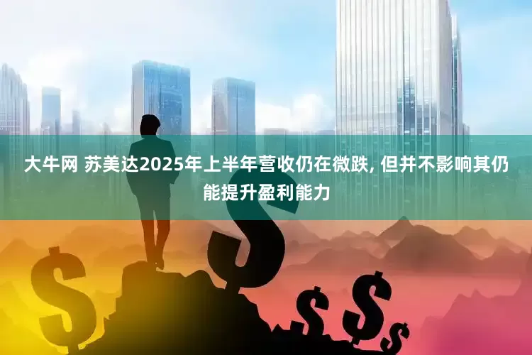大牛网 苏美达2025年上半年营收仍在微跌, 但并不影响其仍能提升盈利能力