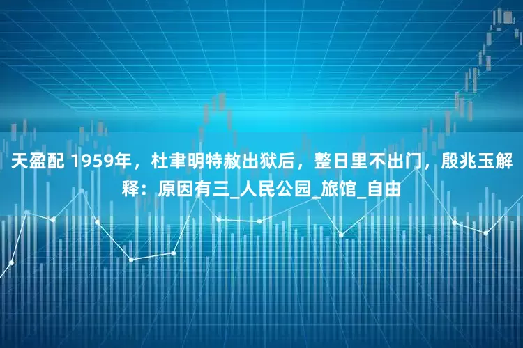 天盈配 1959年，杜聿明特赦出狱后，整日里不出门，殷兆玉解释：原因有三_人民公园_旅馆_自由