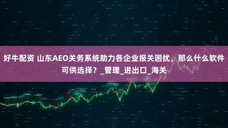 好牛配资 山东AEO关务系统助力各企业报关困扰，那么什么软件可供选择？_管理_进出口_海关