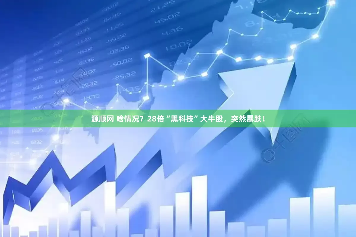 源顺网 啥情况？28倍“黑科技”大牛股，突然暴跌！