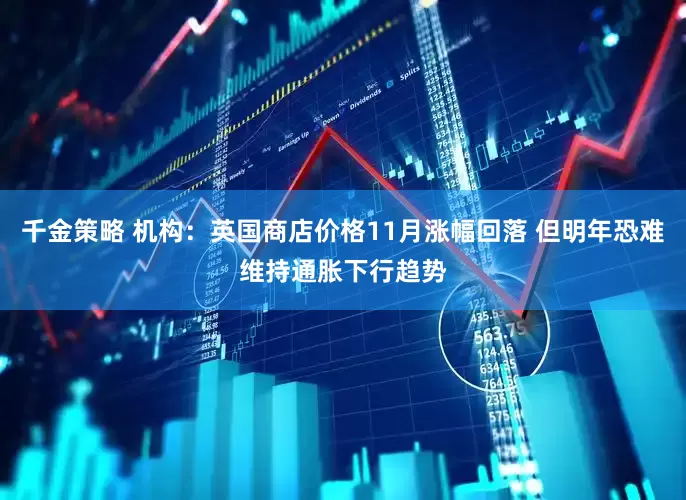 千金策略 机构：英国商店价格11月涨幅回落 但明年恐难维持通胀下行趋势