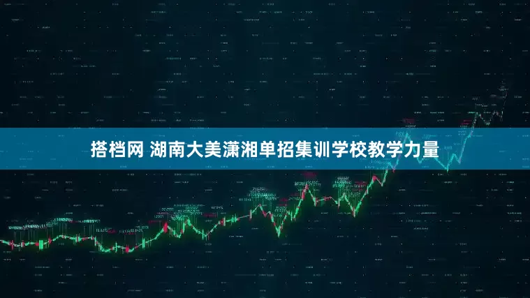 搭档网 湖南大美潇湘单招集训学校教学力量
